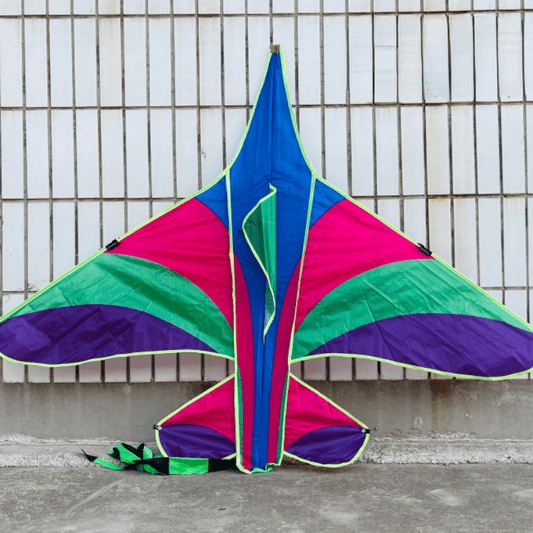 Kids Triangular Kite: Easy To Fly Outdoor Toy