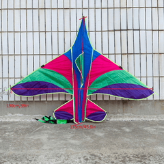 Kids Triangular Kite: Easy To Fly Outdoor Toy