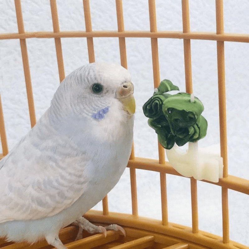 4pcs Plastic Fruit Forks for Parrots Convenient Food Holder for Bird Cages