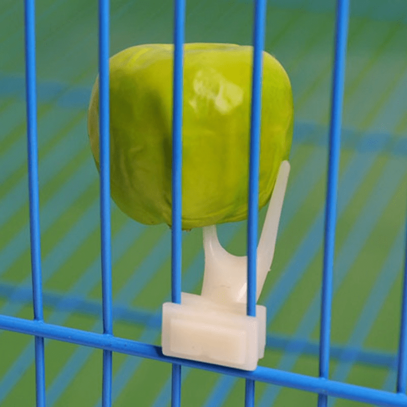 4pcs Plastic Fruit Forks for Parrots Convenient Food Holder for Bird Cages