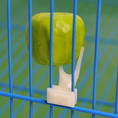 4pcs Plastic Fruit Forks for Parrots Convenient Food Holder for Bird Cages