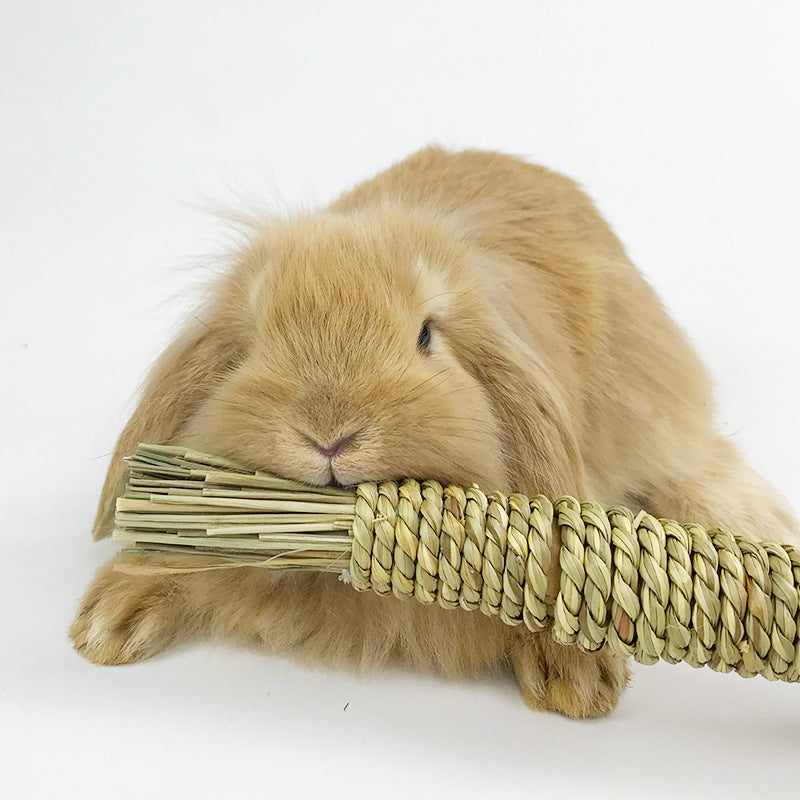 Handwoven Water Grass Carrot Toy for Small Pets