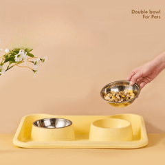 Stainless Steel Double Cat Feeder Bowls With Mat