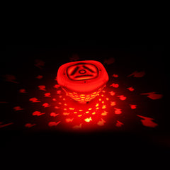 Waterproof LED Fish Light for Pool