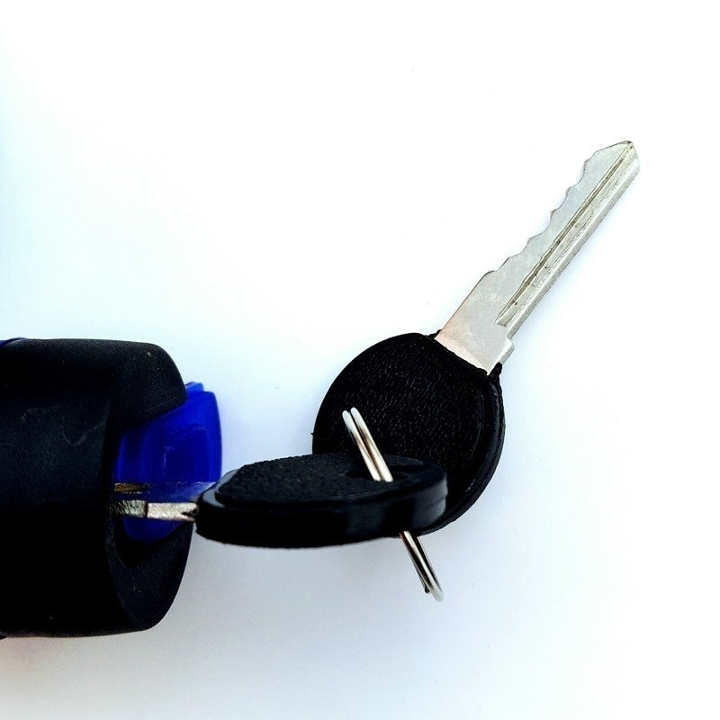 Universal Anti Theft Lock & 2 Keys with Steel Rope Cable