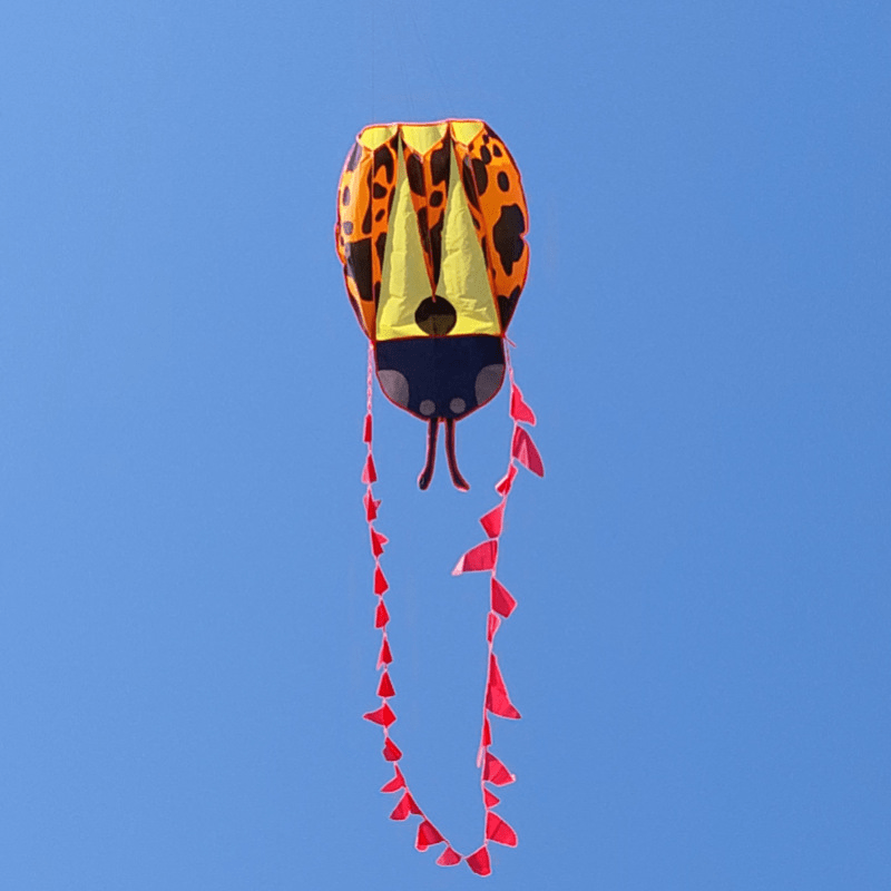 Adult Frameless Ladybug Kite