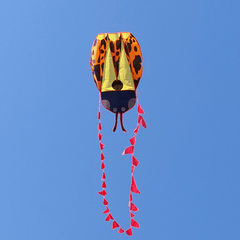 Adult Frameless Ladybug Kite