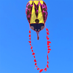 Adult Frameless Ladybug Kite