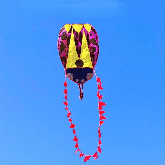 Adult Frameless Ladybug Kite