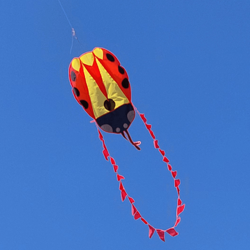 Adult Frameless Ladybug Kite