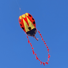 Adult Frameless Ladybug Kite