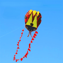 Adult Frameless Ladybug Kite