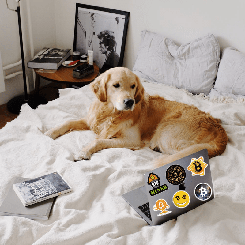 50 Bitcoin Stickers for Water Bottle Laptop Skateboard Luggage Guitar
