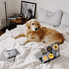 50 Bitcoin Stickers for Water Bottle Laptop Skateboard Luggage Guitar