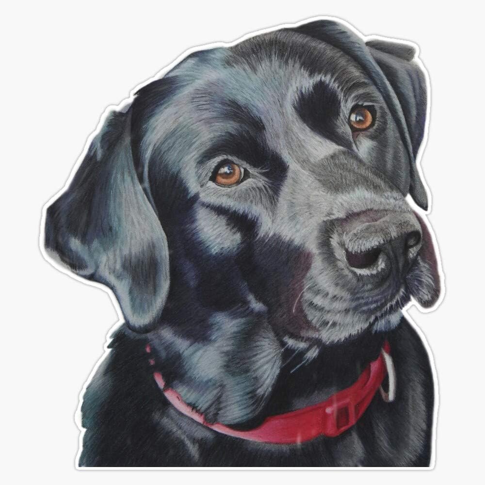 Indi The Labrador Car Stickers for Laptop Water Bottle Phone