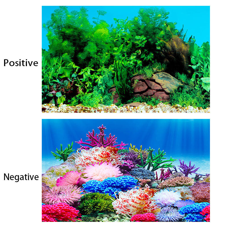 Double Sided Aquarium Background Stickers - Enhance Fish Tank Decor