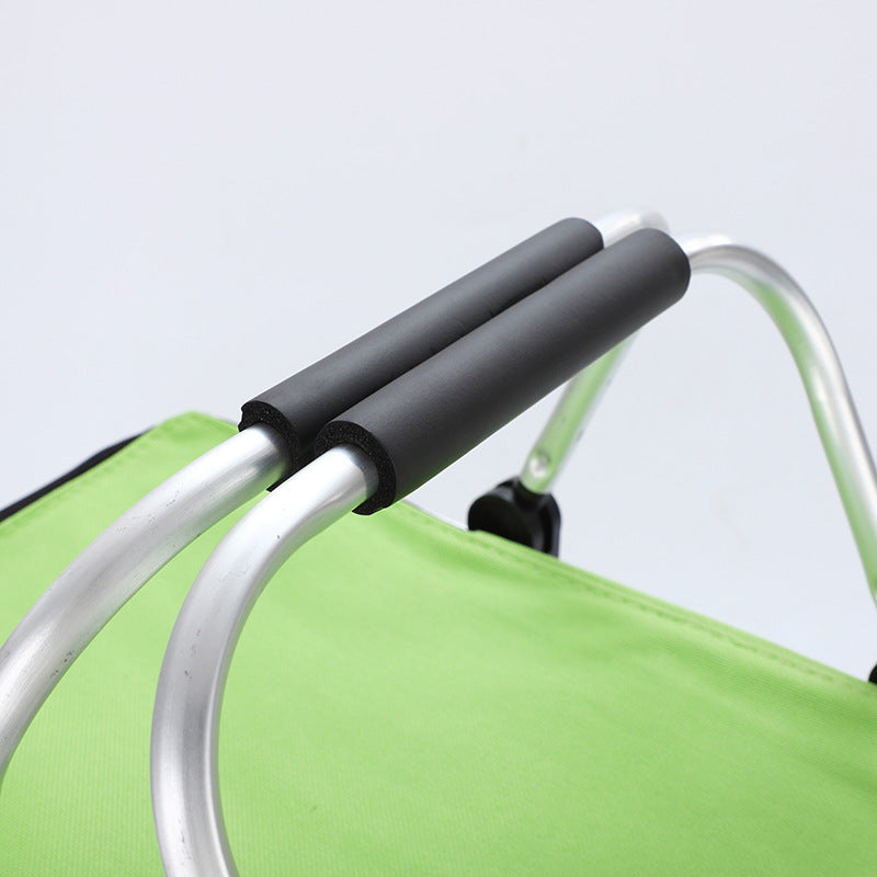 Insulated Vegetable Basket Bento Bag with Ice Pack - Waterproof