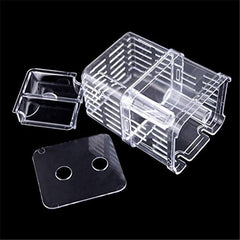 Aquarium Fish Breeder Box Betta Fish Tank Isolation Hatching Incubator