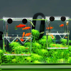 Aquarium Fish Breeder Box Betta Fish Tank Isolation Hatching Incubator