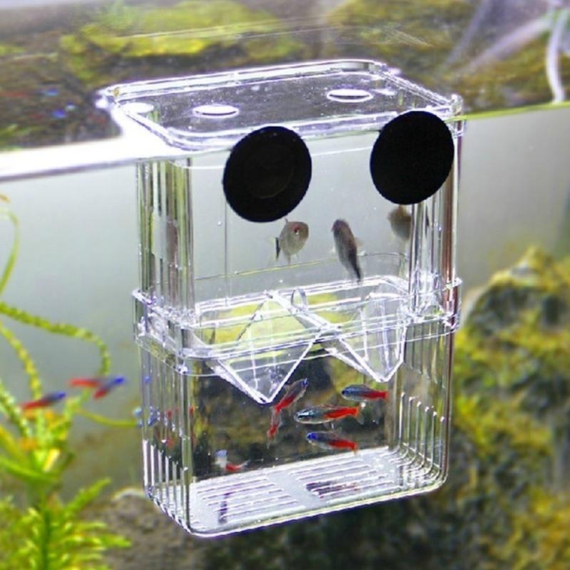 Aquarium Fish Breeder Box Betta Fish Tank Isolation Hatching Incubator