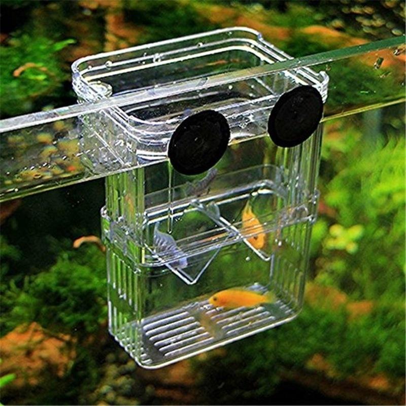 Aquarium Fish Breeder Box Betta Fish Tank Isolation Hatching Incubator