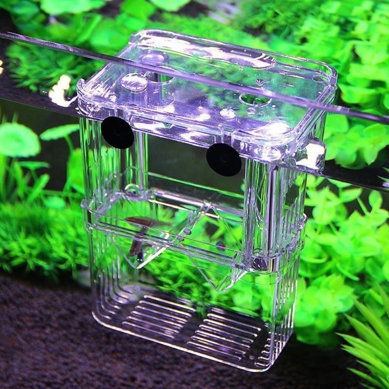 Aquarium Fish Breeder Box Betta Fish Tank Isolation Hatching Incubator