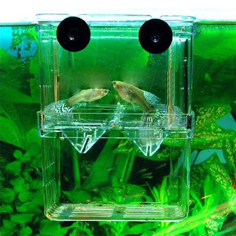 Aquarium Fish Breeder Box Betta Fish Tank Isolation Hatching Incubator