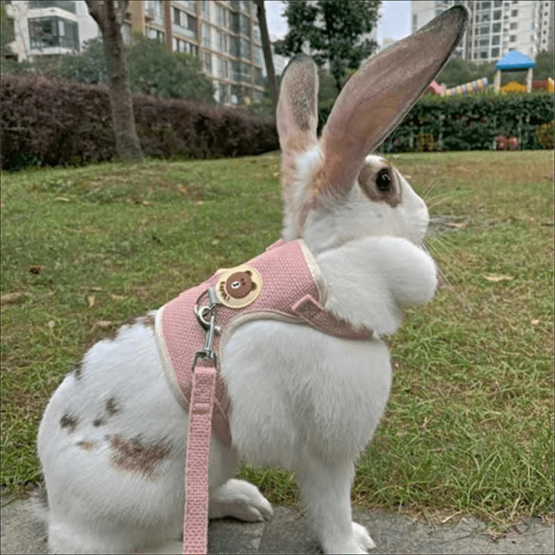 Soft Rabbit Harness and Leash Set for Small Animals