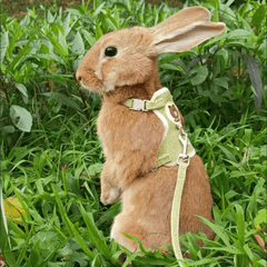 Soft Rabbit Harness and Leash Set for Small Animals