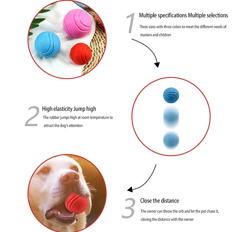 Durable Rubber Dog Toy for Outdoor Play and Training