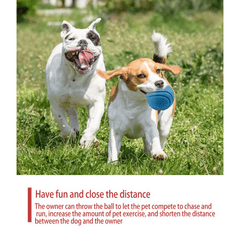 Durable Rubber Dog Toy for Outdoor Play and Training