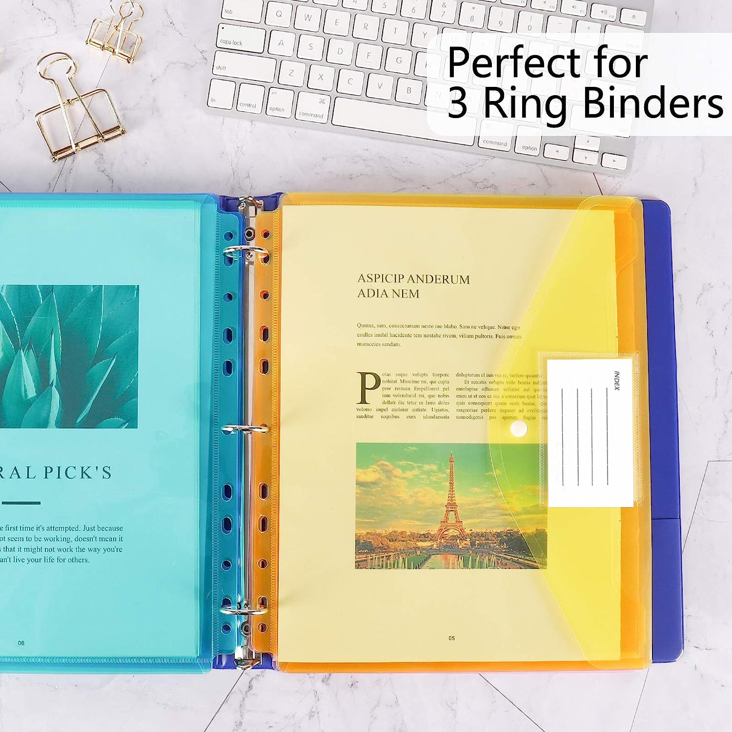 12pcs A4 Binder Pocket with Label for Organization