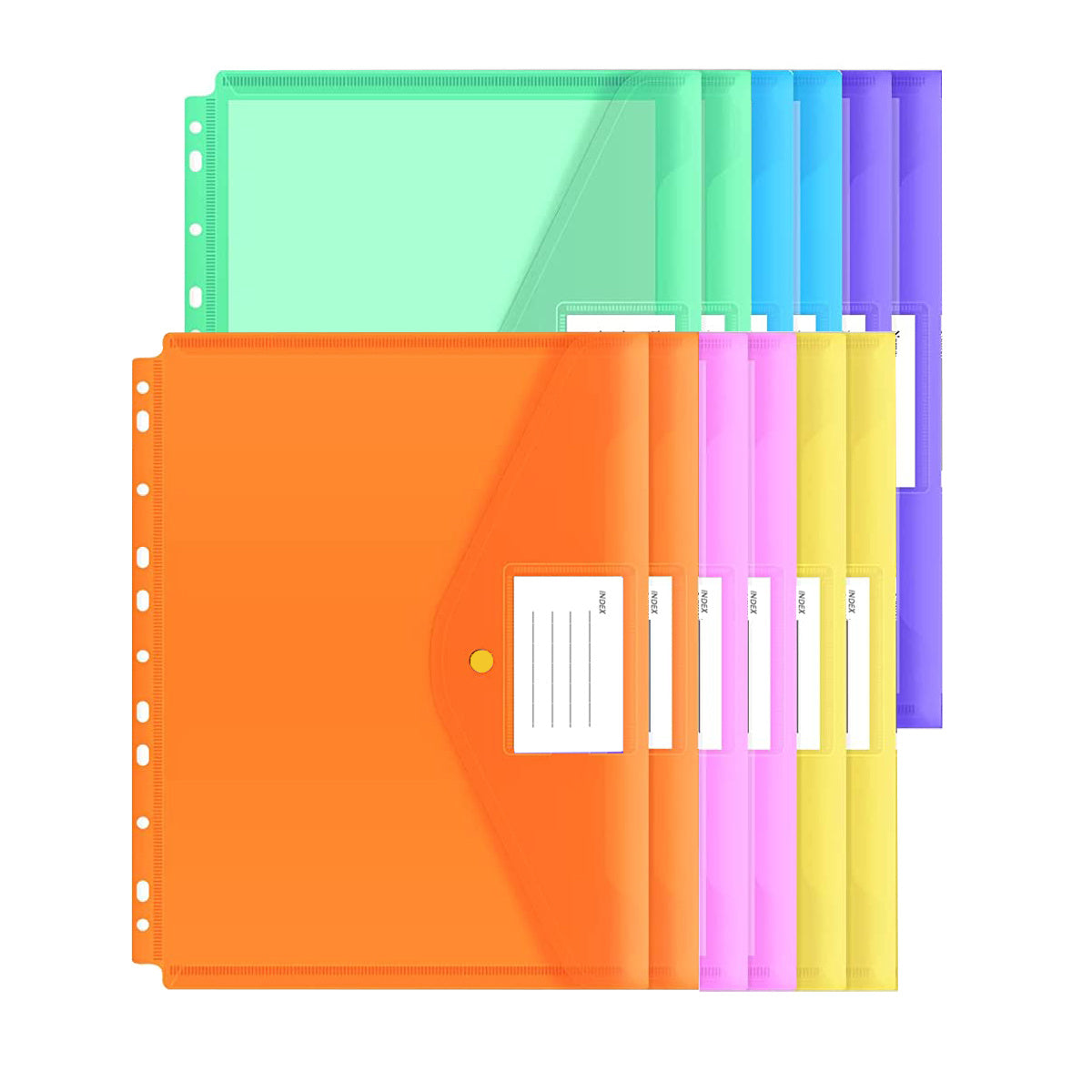 12pcs A4 Binder Pocket with Label for Organization