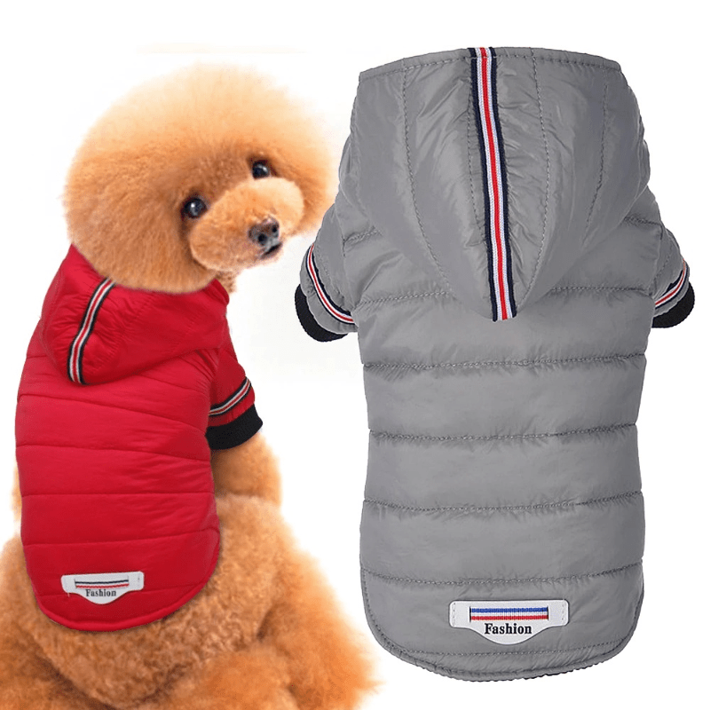Waterproof Pet Outfits for Winter Warmth