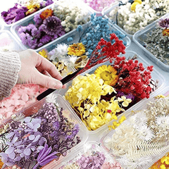 Dried Flower Resin Mold Fillings for Epoxy Jewelry Making Craft DIY