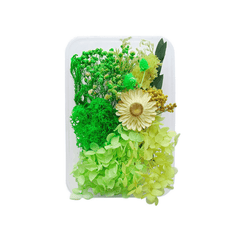 Dried Flower Resin Mold Fillings for Epoxy Jewelry Making Craft DIY