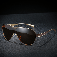 Men's Vintage Polarized Sunglasses Classic UV 400 Zipper Glasses Case