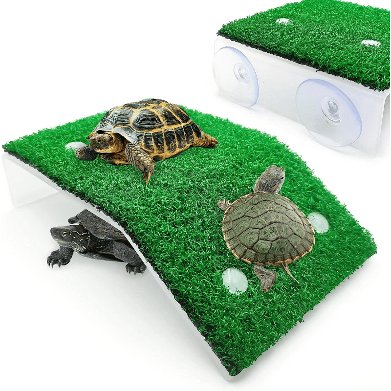 Turtle Rest Platform Simulated Grass Ramp And Ladder