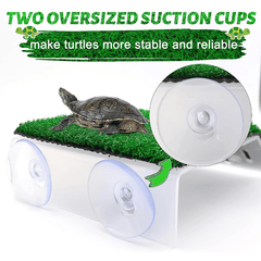 Turtle Rest Platform Simulated Grass Ramp And Ladder