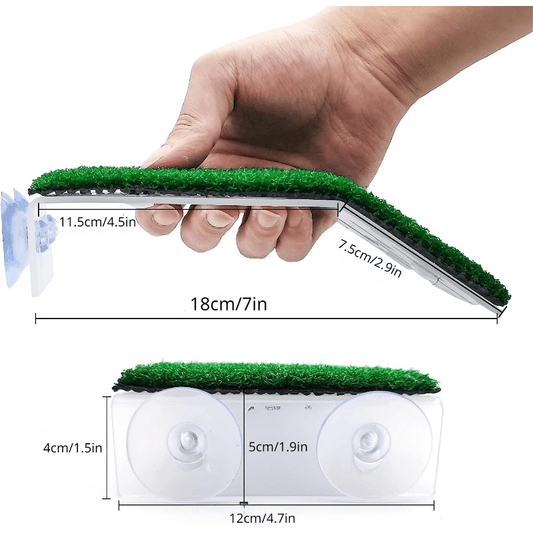 Turtle Rest Platform Simulated Grass Ramp And Ladder