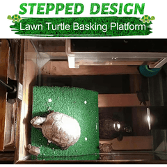 Turtle Rest Platform Simulated Grass Ramp And Ladder