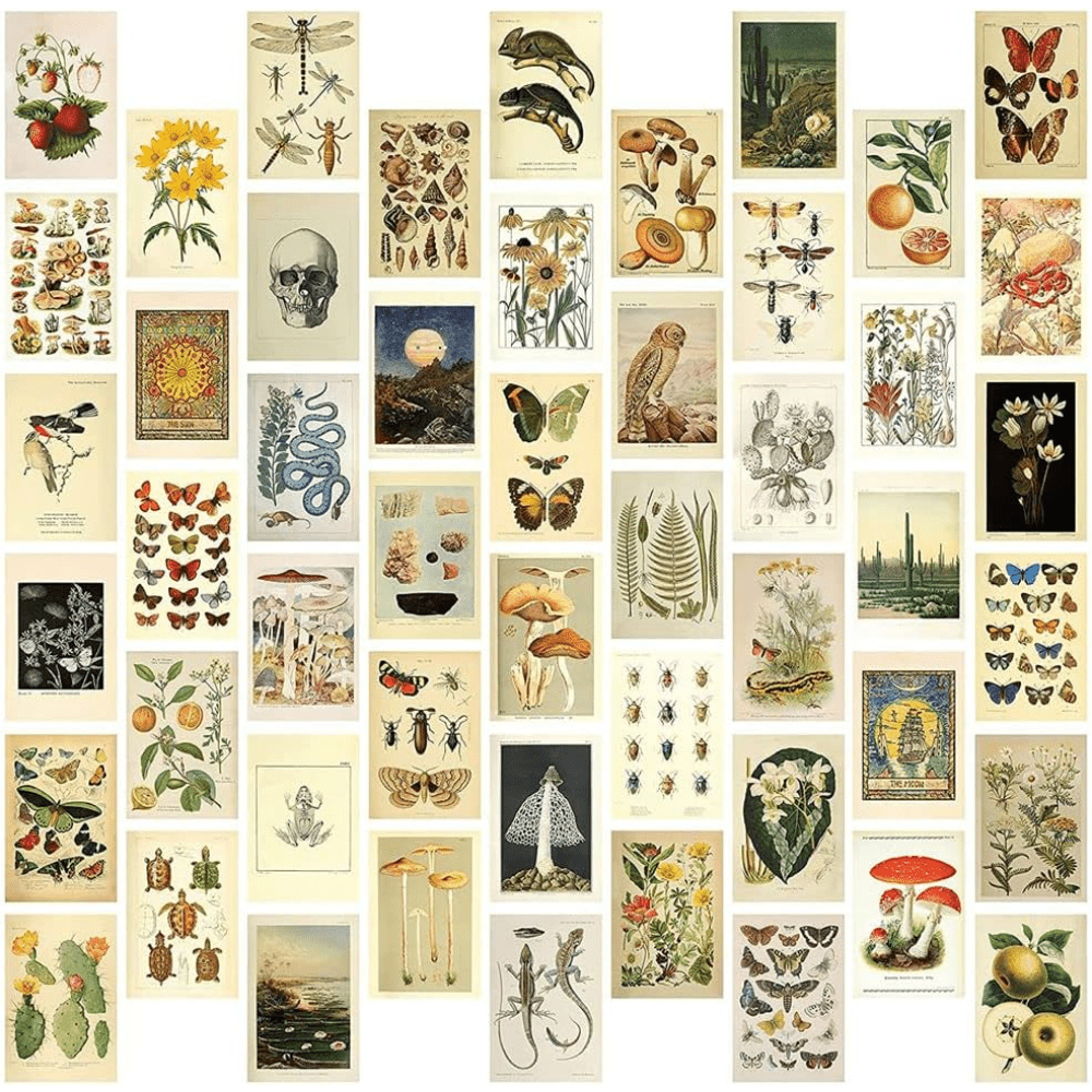 50pcs Vintage Collection Postcards Set Retro Style Plants Butterfly Mushroom