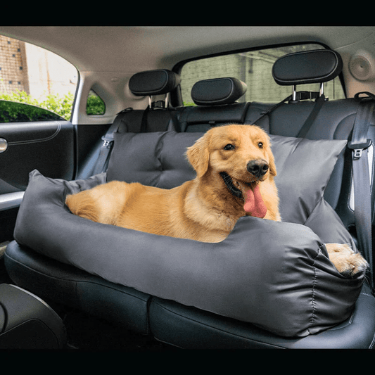 Waterproof Dog Bed & Folding Pet Carrier