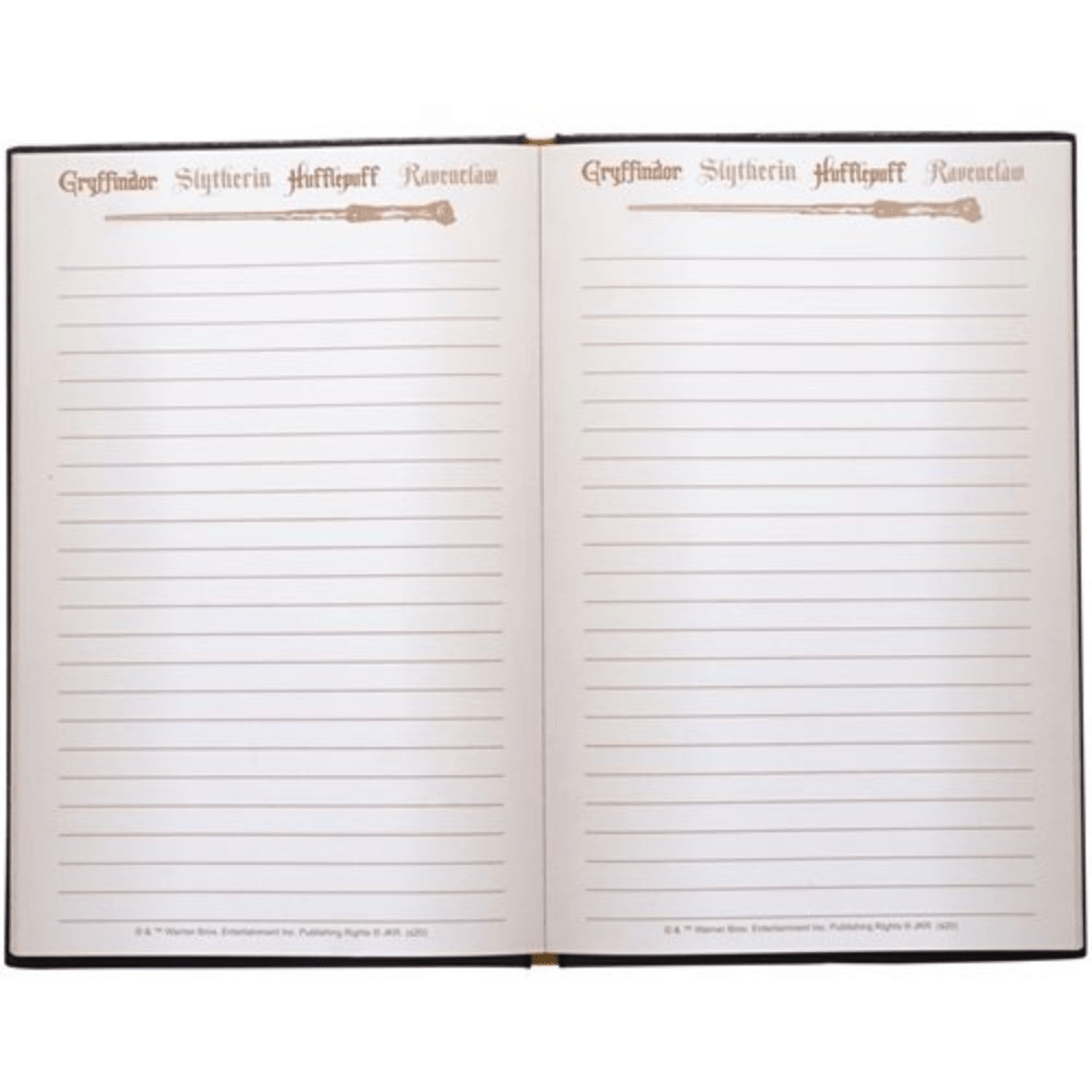 Hermione Granger Journal 100 Pages With Wand Pen For Muggles, Witches & Wizards