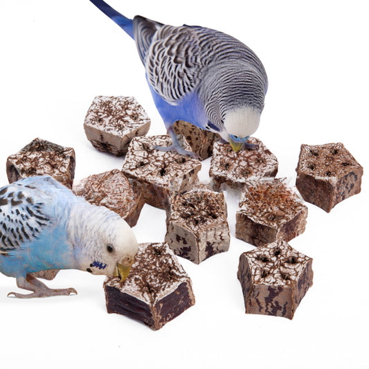 12pcs Pet Parrot Natural Grinding Toys Bird Chew Toys Dried Fruit Blocks