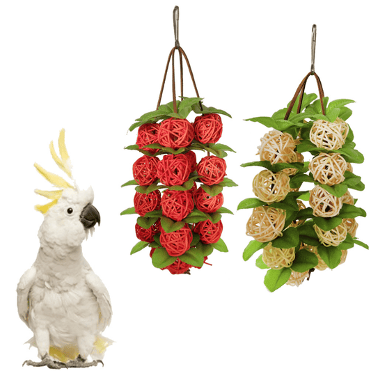 Parrot Toys Hanging Wooden Birds Ball Toy Bird Cage Bite Toys