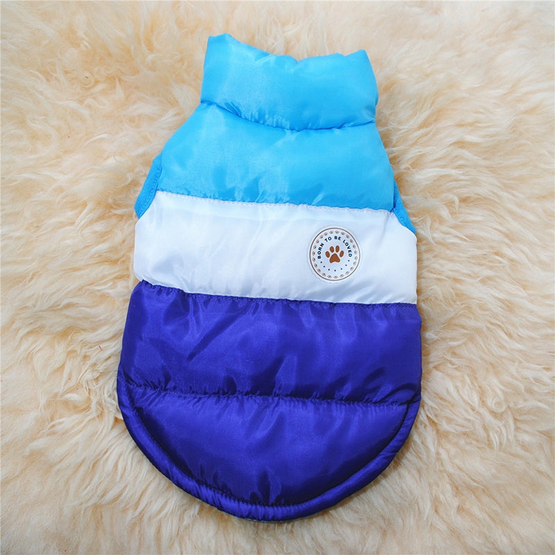 Winter Dog Down Coat for Small Medium Dogs Cats Puppy Jacket