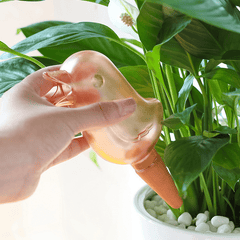 Automatic Flower Watering Device Bird Irrigation