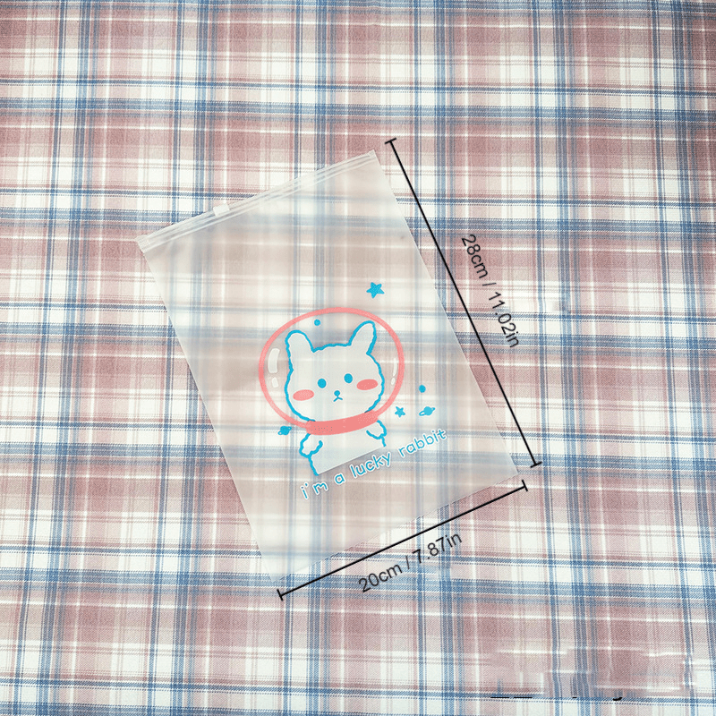 Transparent Underwear Storage Bag Cartoon Luggage Organizer