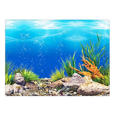 Aquarium Fish Tank Background Decoration Sticker Poster